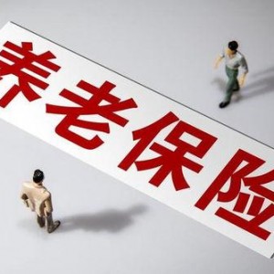 国产a级一级久久毛片,揭秘一级久久毛片背后的故事